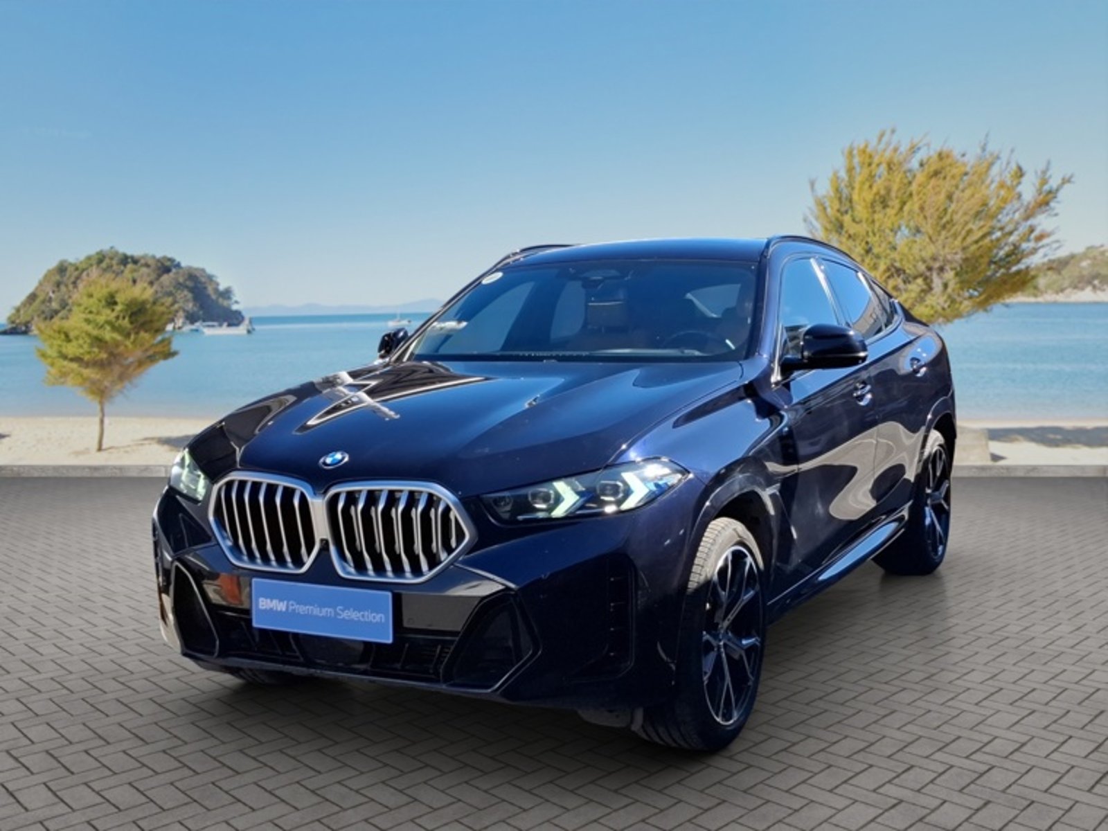 BMW X6 Xdrive 30d M Sport 4x4 3.0 Au… 2024