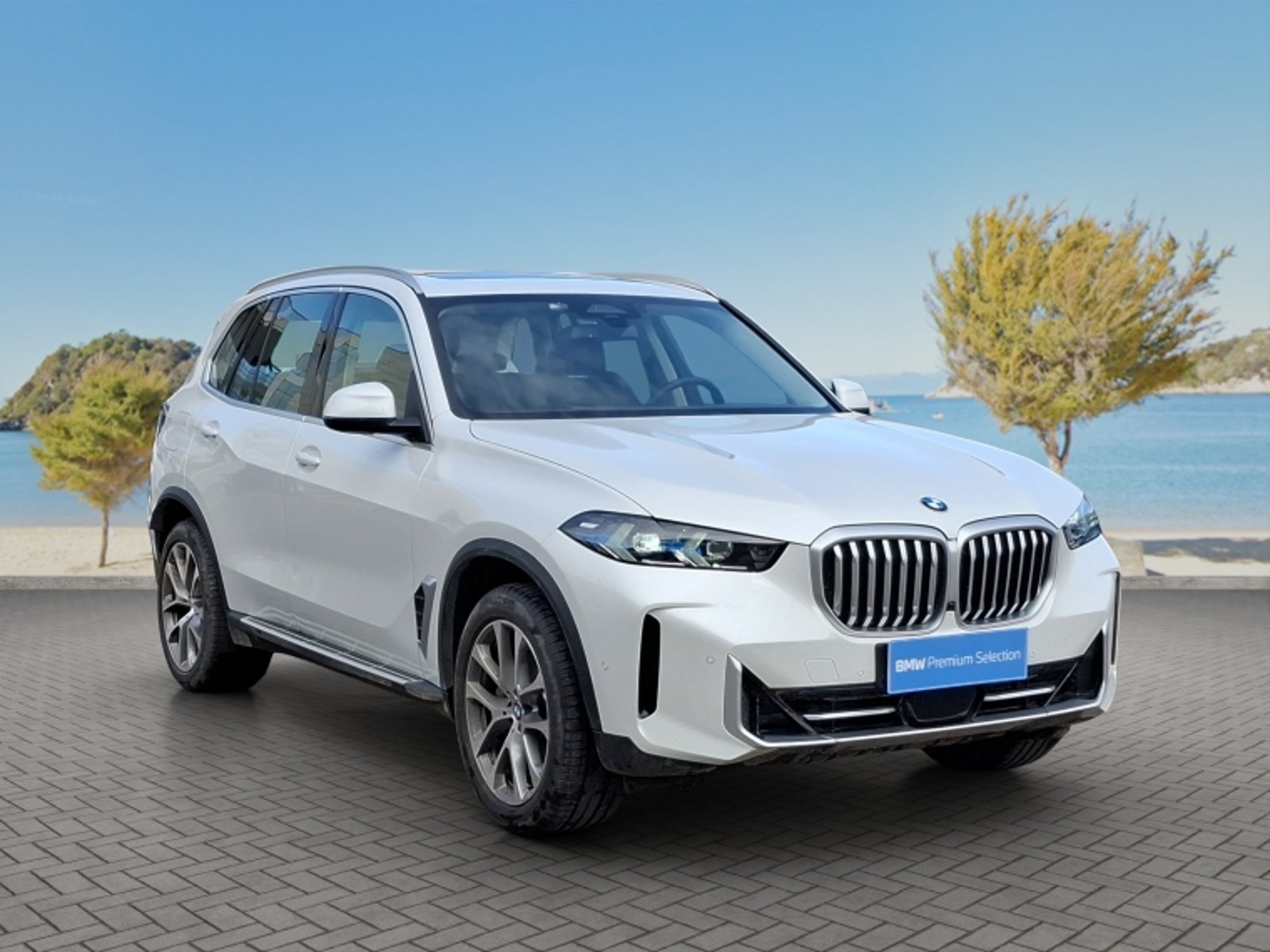 BMW X5 Xdrive40i Xline Lci 2026 - Foto 3 de 20