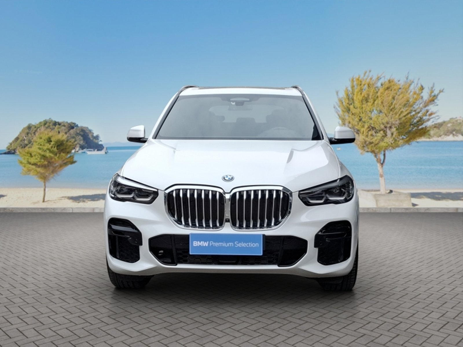 BMW X5 Xdrive 45e 4x4 3.0 Aut 2022 - Foto 2 de 20