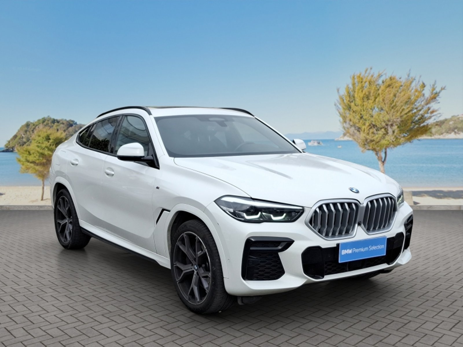 BMW X6 Xdrive30d 4x4 5p 3.0 Aut 2023 - Imagen 3 de 20