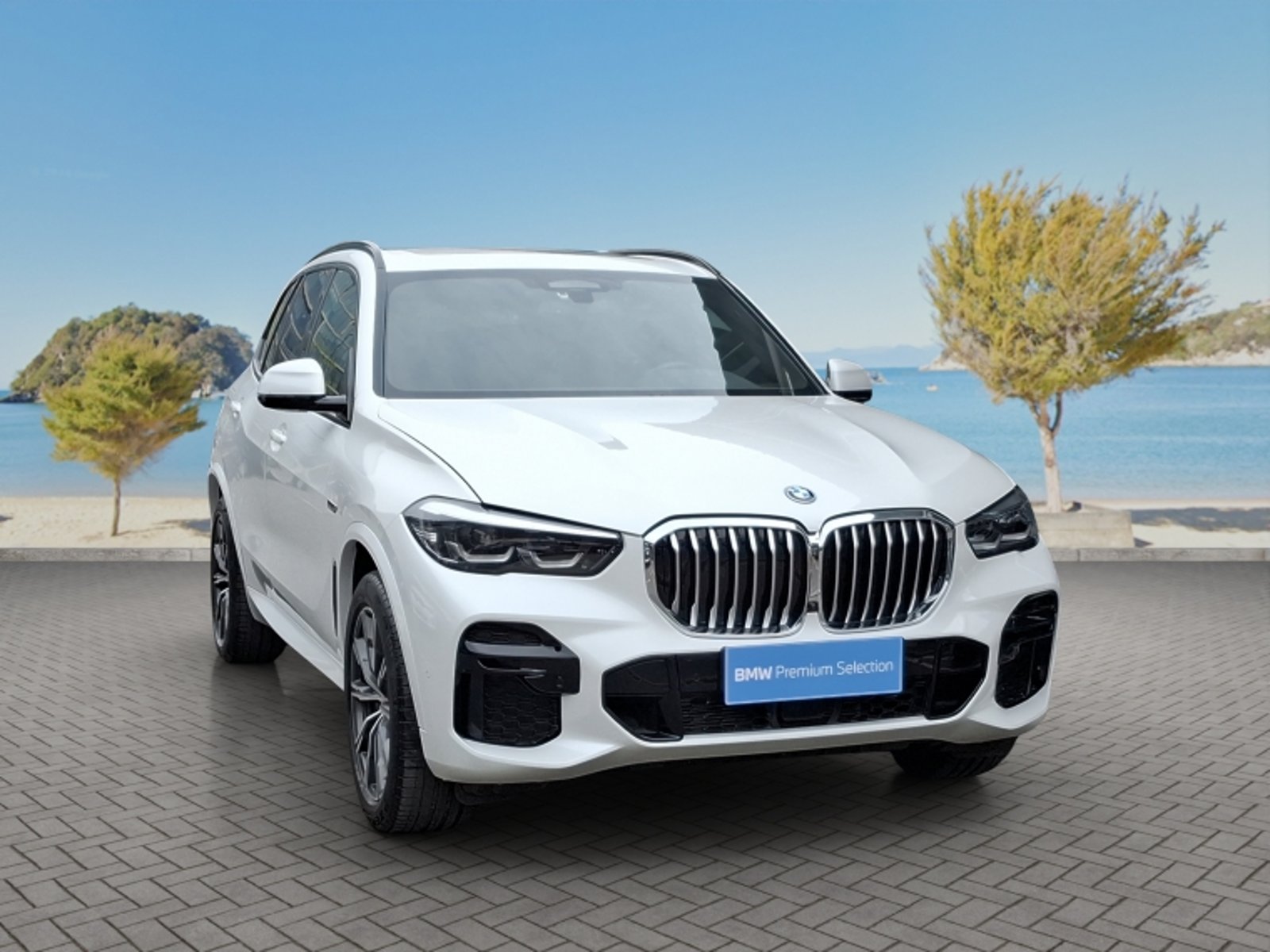 BMW X5 Xdrive 45e 4x4 3.0 Aut 2022 - Imagen 3 de 20