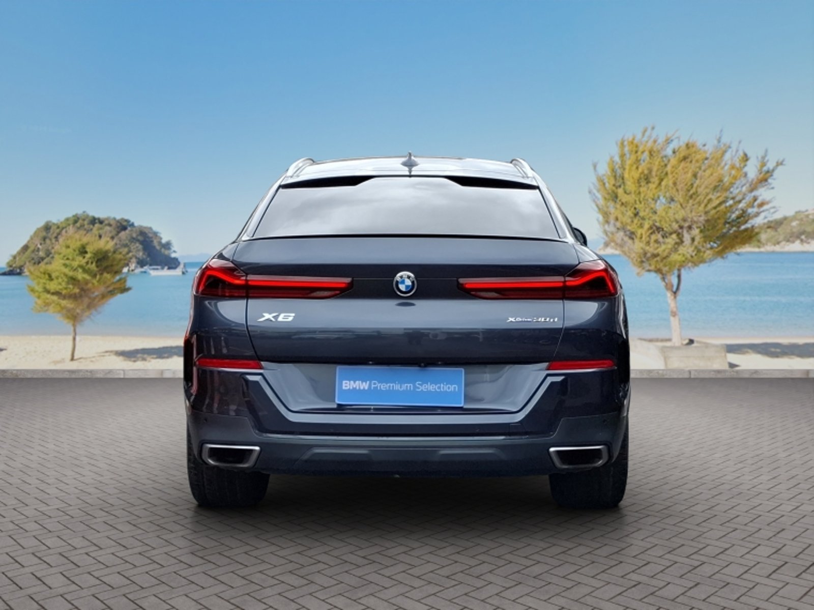 BMW X6 Xdrive30d Executive 4x4 3.0 At 2020 - Imagen 6 de 20