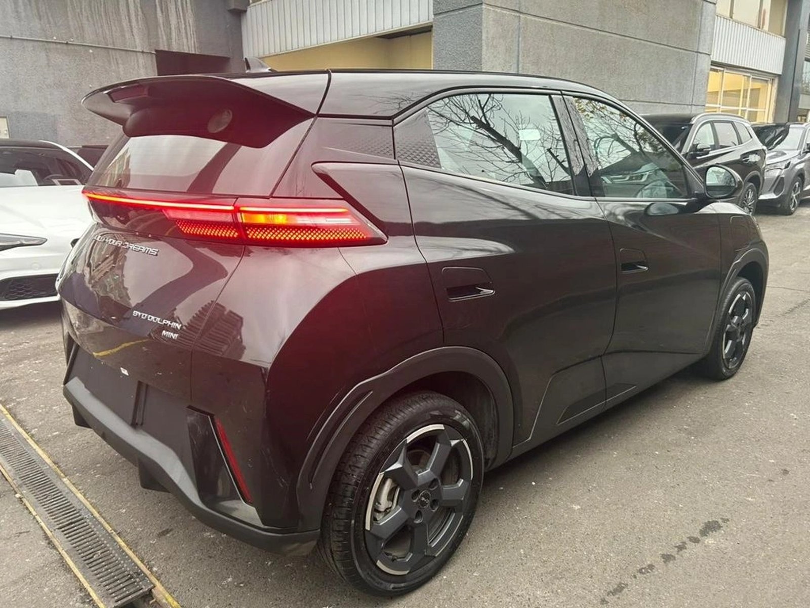 BYD DOLPHIN MINI 0.0 AT 4X4 ELECTRICO 2024 - Imagen 6 de 15