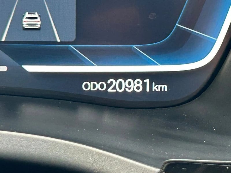 BYD SONG PLUS 1.5 GS AT 4X2 HIBRIDO 2024 - Imagen 13 de 16