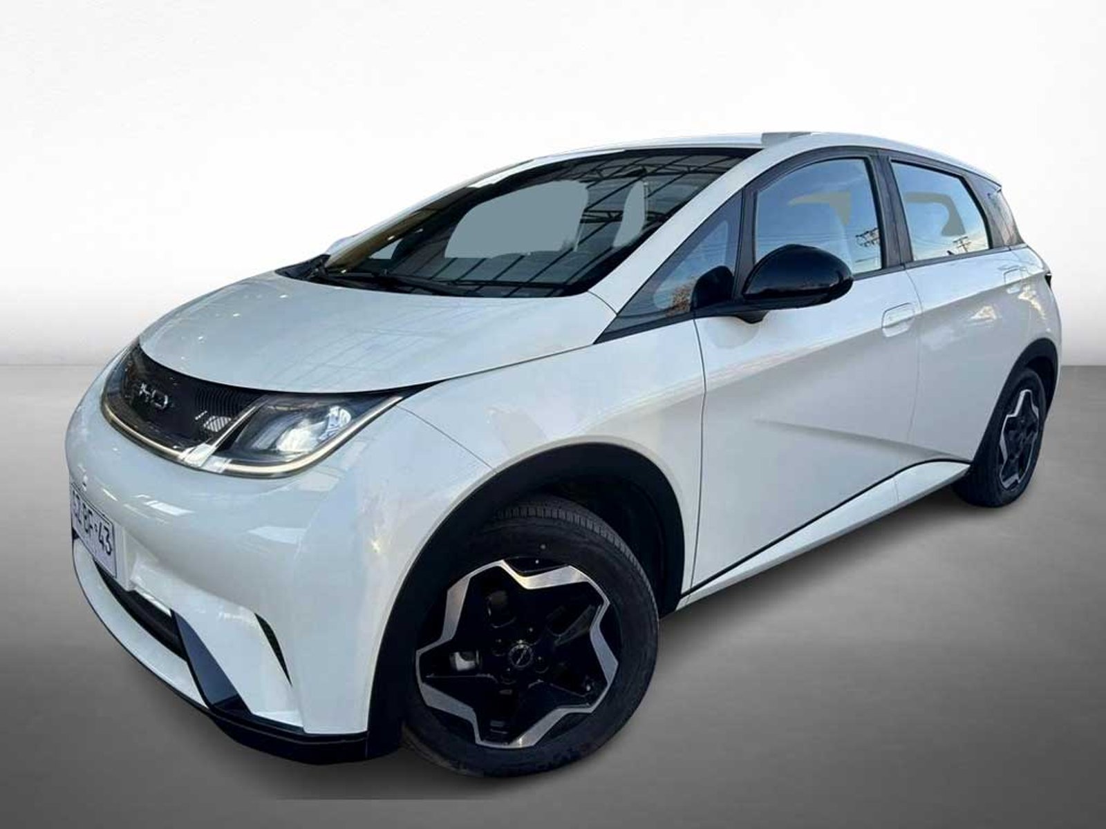 BYD DOLPHIN MINI ELECTRICO MINI GS 4X2 AT 5P 2024 - Imagen 15 de 16