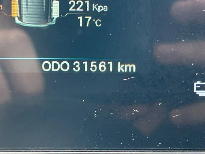 BYD DOLPHIN MINI 0.0 AT 4X4 ELECTRICO 2024 - Imagen 13 de 15