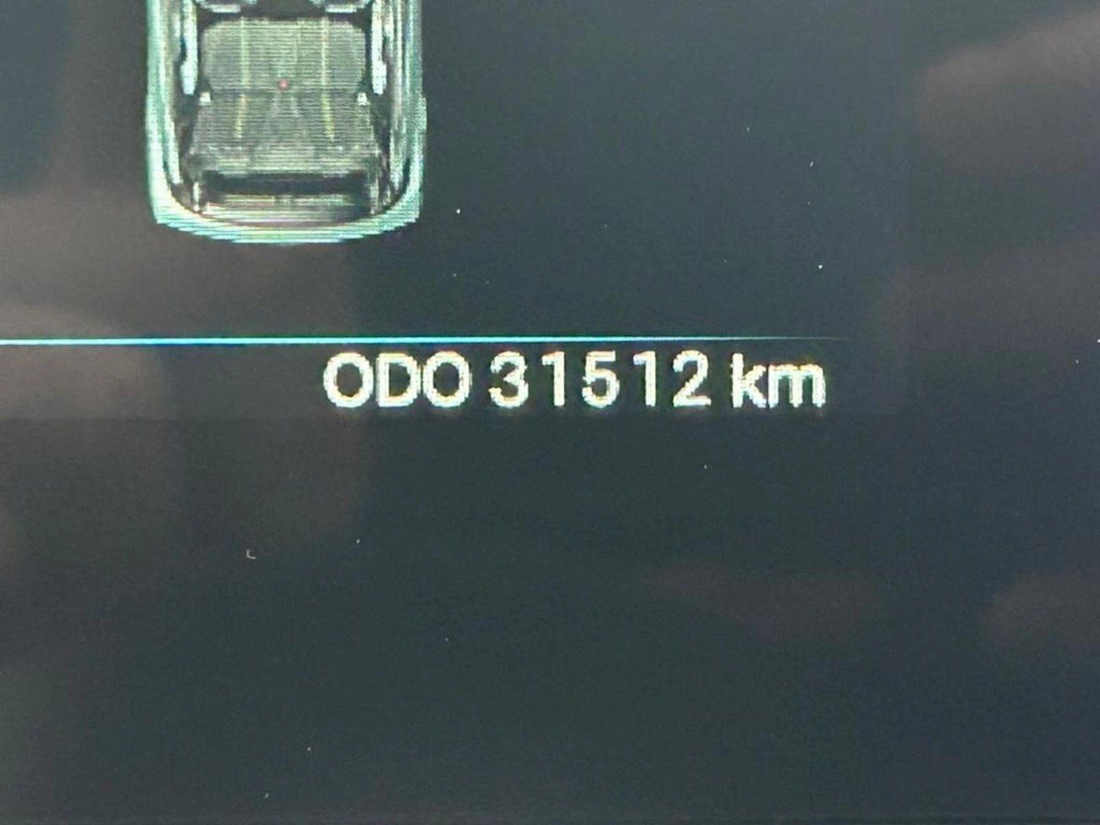 BYD DOLPHIN MINI 0.0 AT 4X4 ELECTRICO 2024 - Imagen 13 de 15