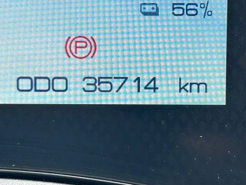BYD DOLPHIN GS 2024 - Imagen 13 de 15