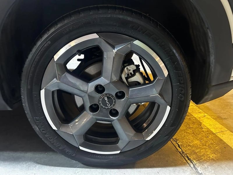 BYD DOLPHIN MINI MINI GS AUT 2024 - Imagen 14 de 16