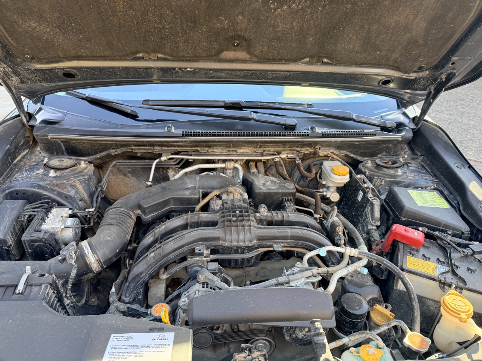 Subaru XV XV 2.0I AWD CVT 2023 - Imagen 18 de 19