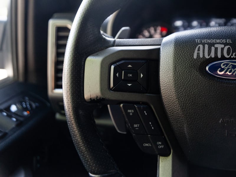 Ford F-150 Raptor 2020 - Imagen 10 de 19