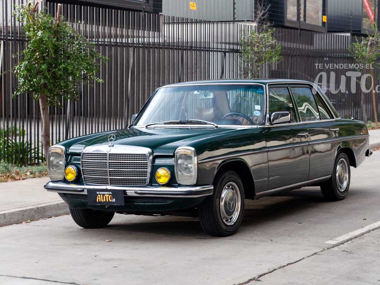 Mercedes-Benz 230 1975 - Foto 2 de 15