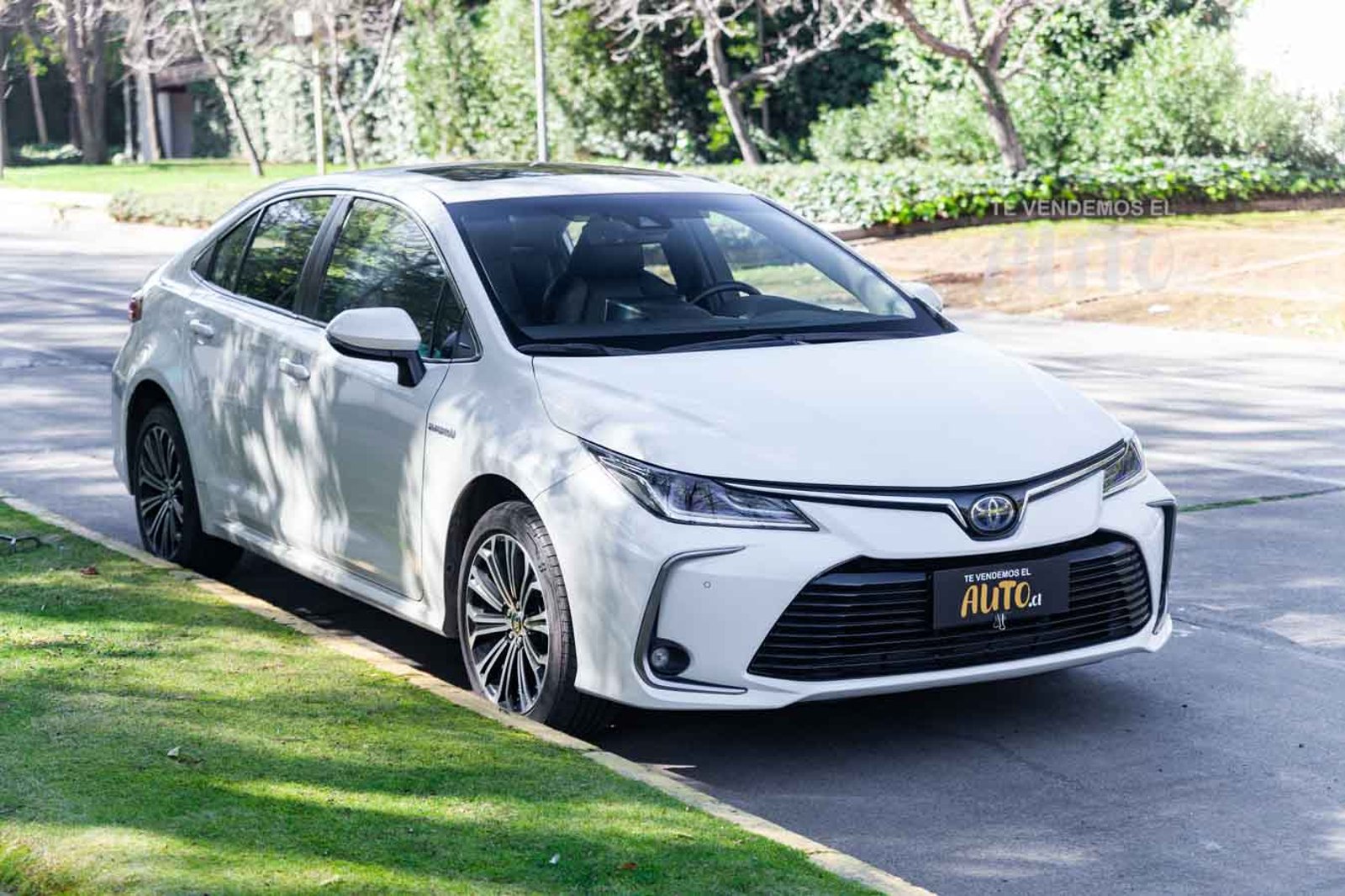 Toyota Corolla 2021 - Imagen 5 de 18