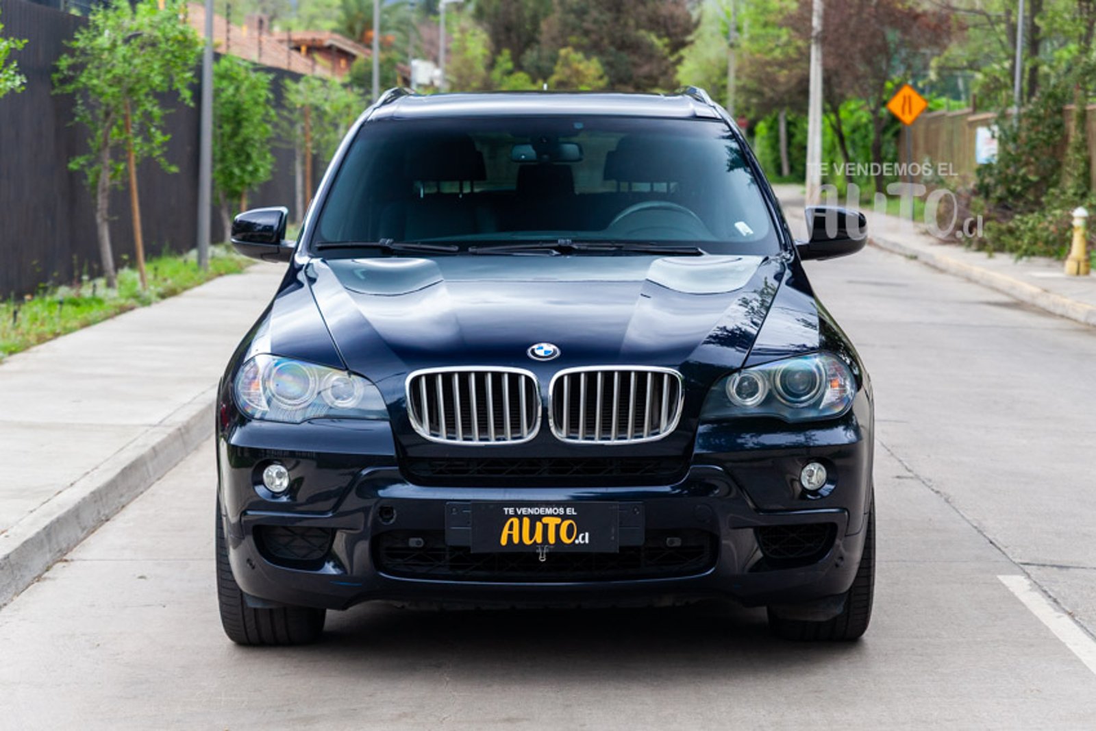 BMW X5 2010