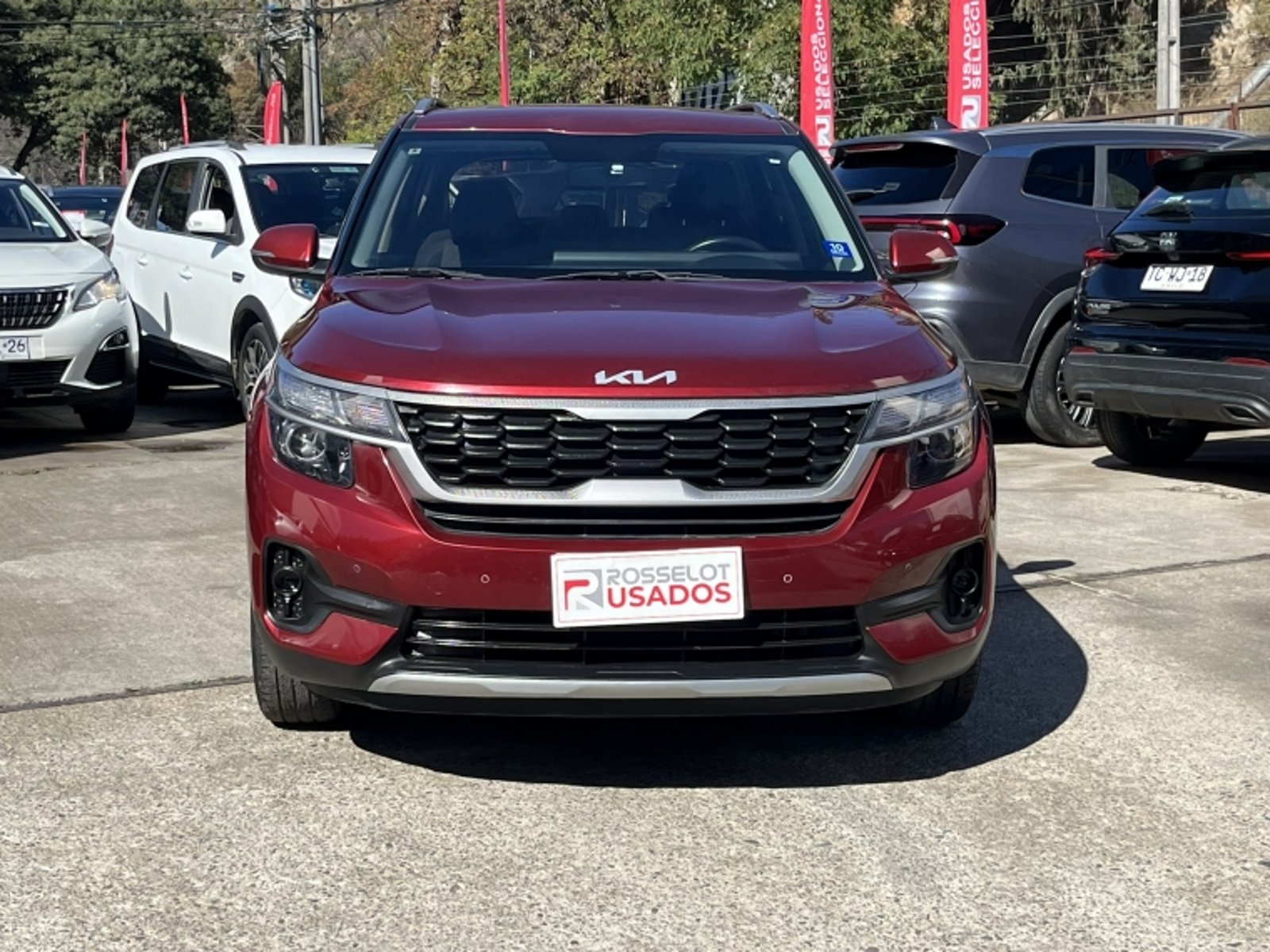 KIA Seltos Ex 1.6 Aut 2024 - Imagen 9 de 20
