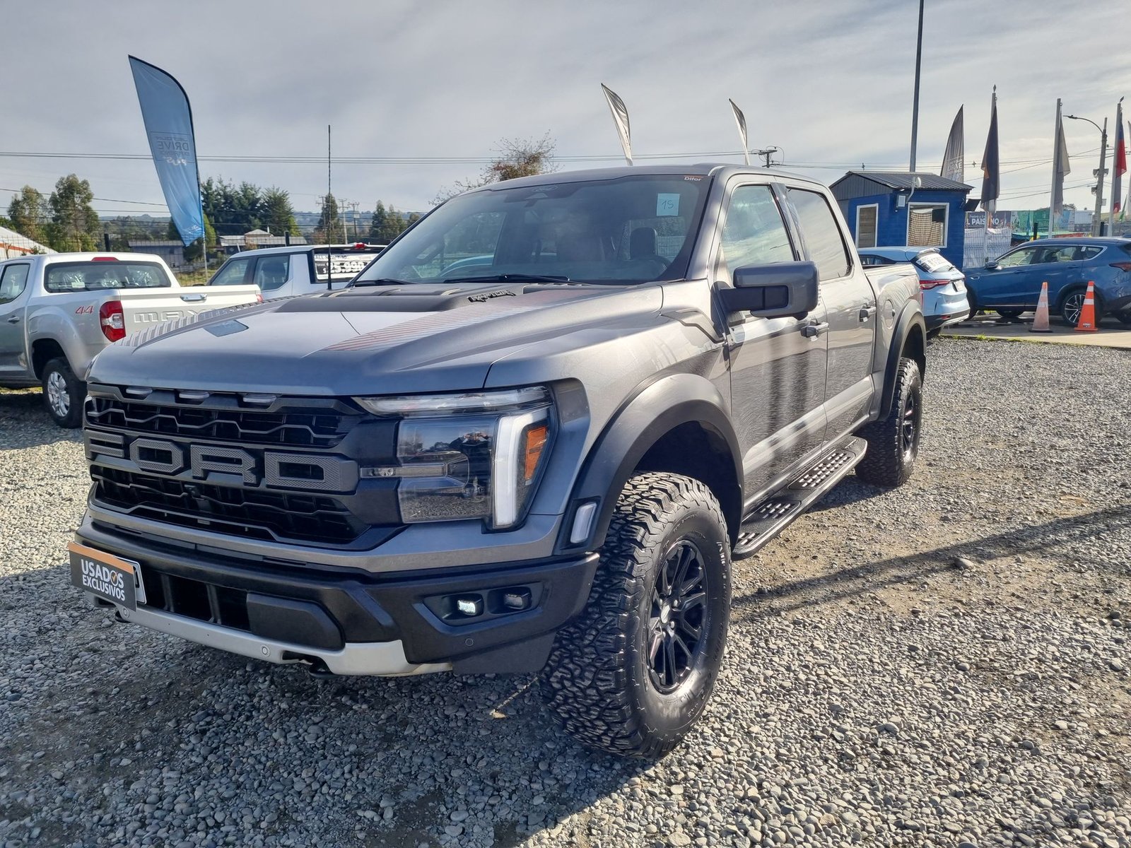 Ford F-150 RAPTOR F150 CC RAPTOR 4X4 3.5 AUT 2025 - Imagen 4 de 15