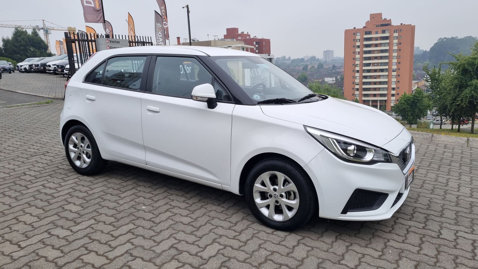 Mg 3 2023 - Imagen 13 de 20