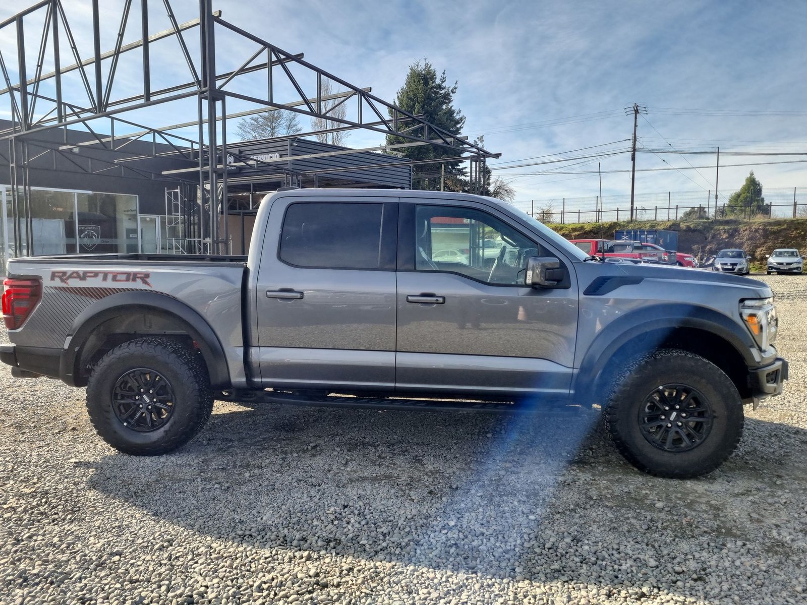 Ford F-150 RAPTOR F150 CC RAPTOR 4X4 3.5 AUT 2025 - Imagen 9 de 15