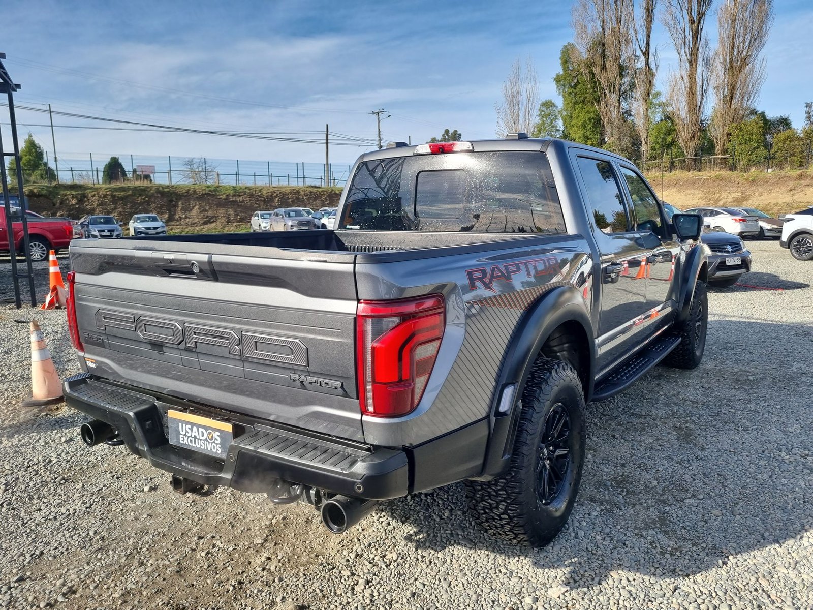Ford F-150 RAPTOR F150 CC RAPTOR 4X4 3.5 AUT 2025 - Imagen 8 de 15