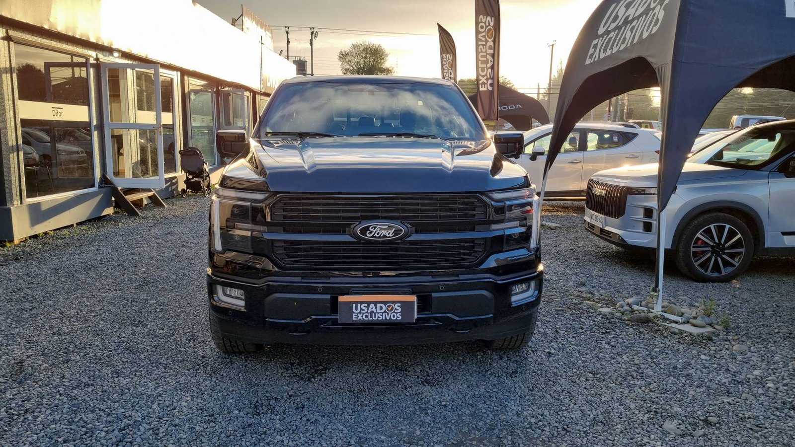 Ford F-150 F150 CC PLATINUM 4X4 3.5 AUT 2025 - Imagen 3 de 20