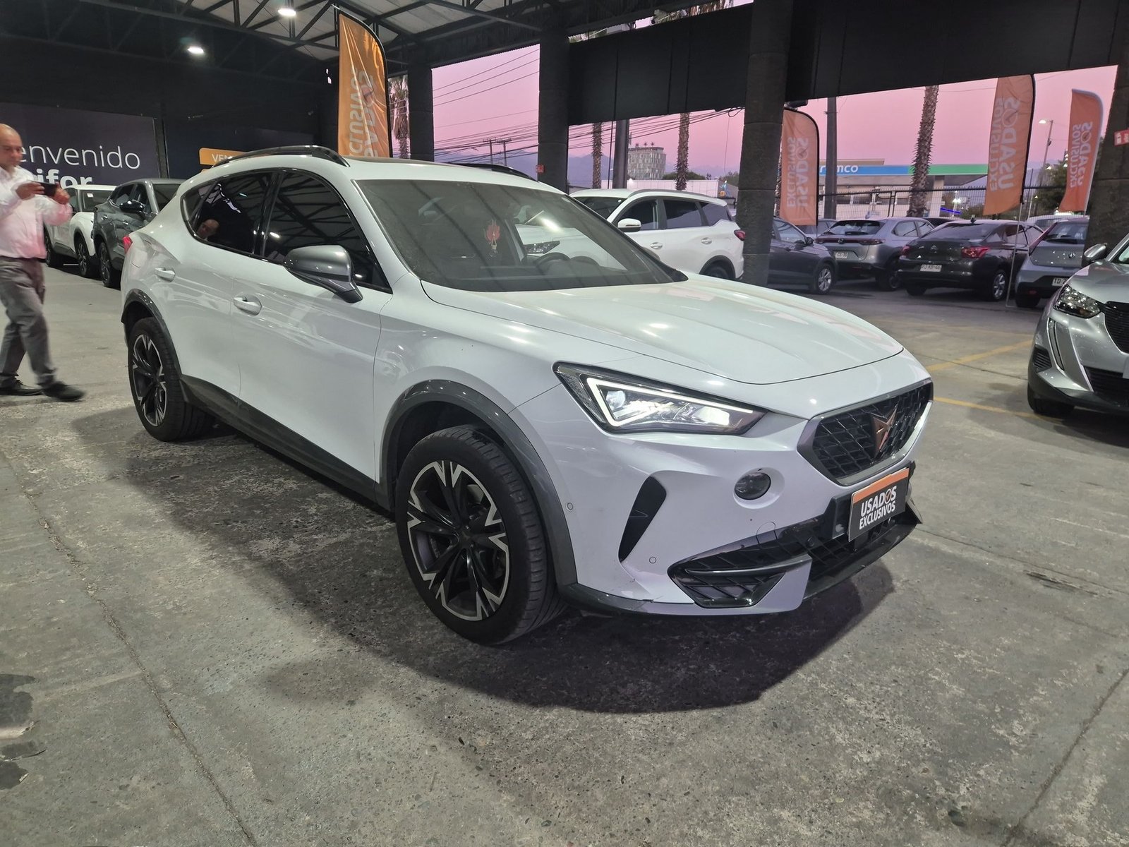 Cupra FORMENTOR TSI 2.0 AUT 2025 - Imagen 13 de 20