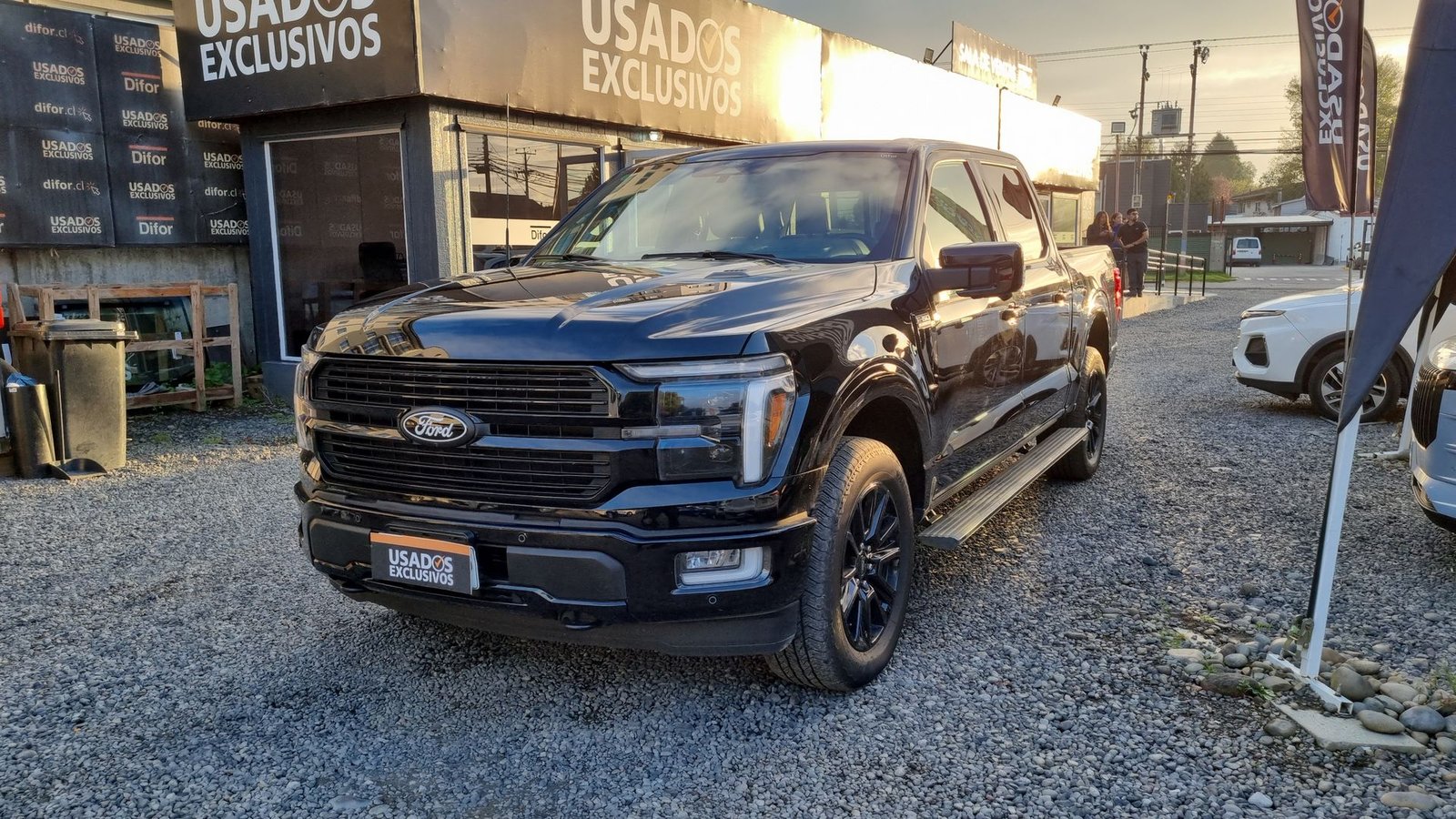 Ford F-150 F150 CC PLATINUM 4X4 3.5 AUT 2025 - Imagen 4 de 20