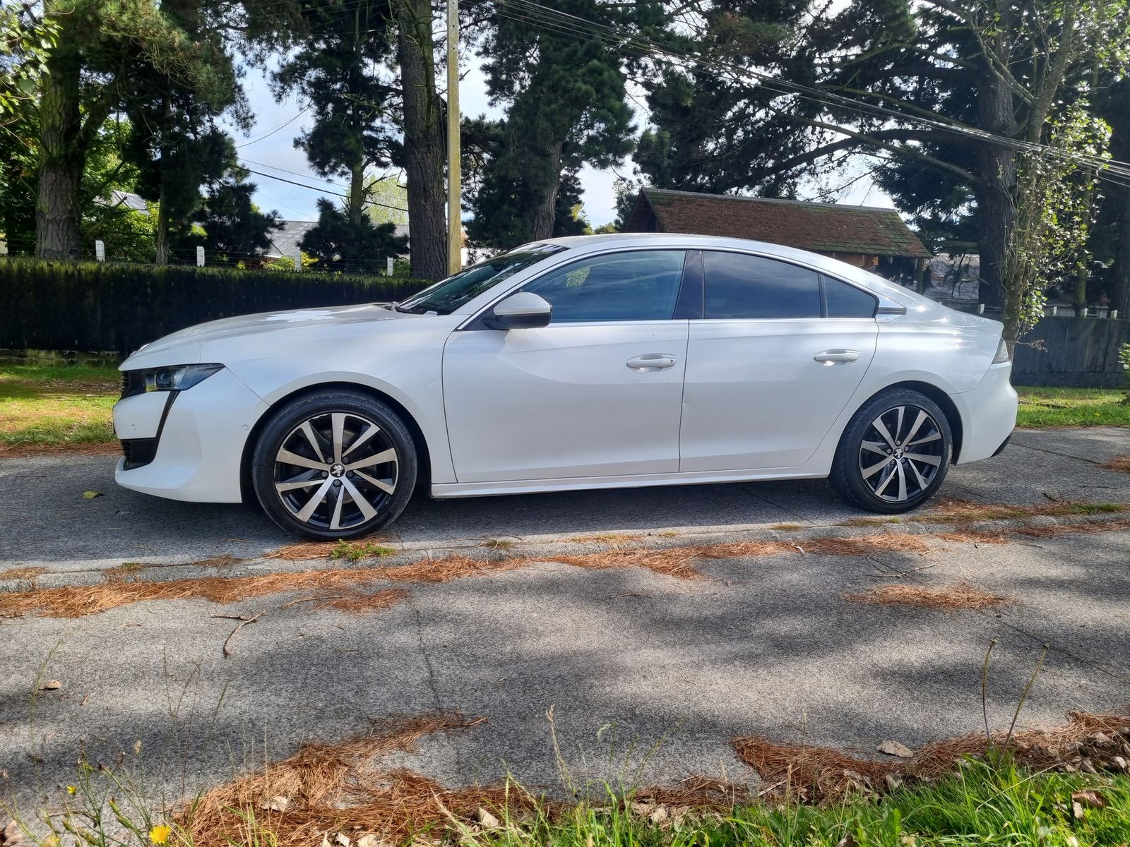 Peugeot 508 ALLURE BLUEHDI AT 2020 - Imagen 12 de 20