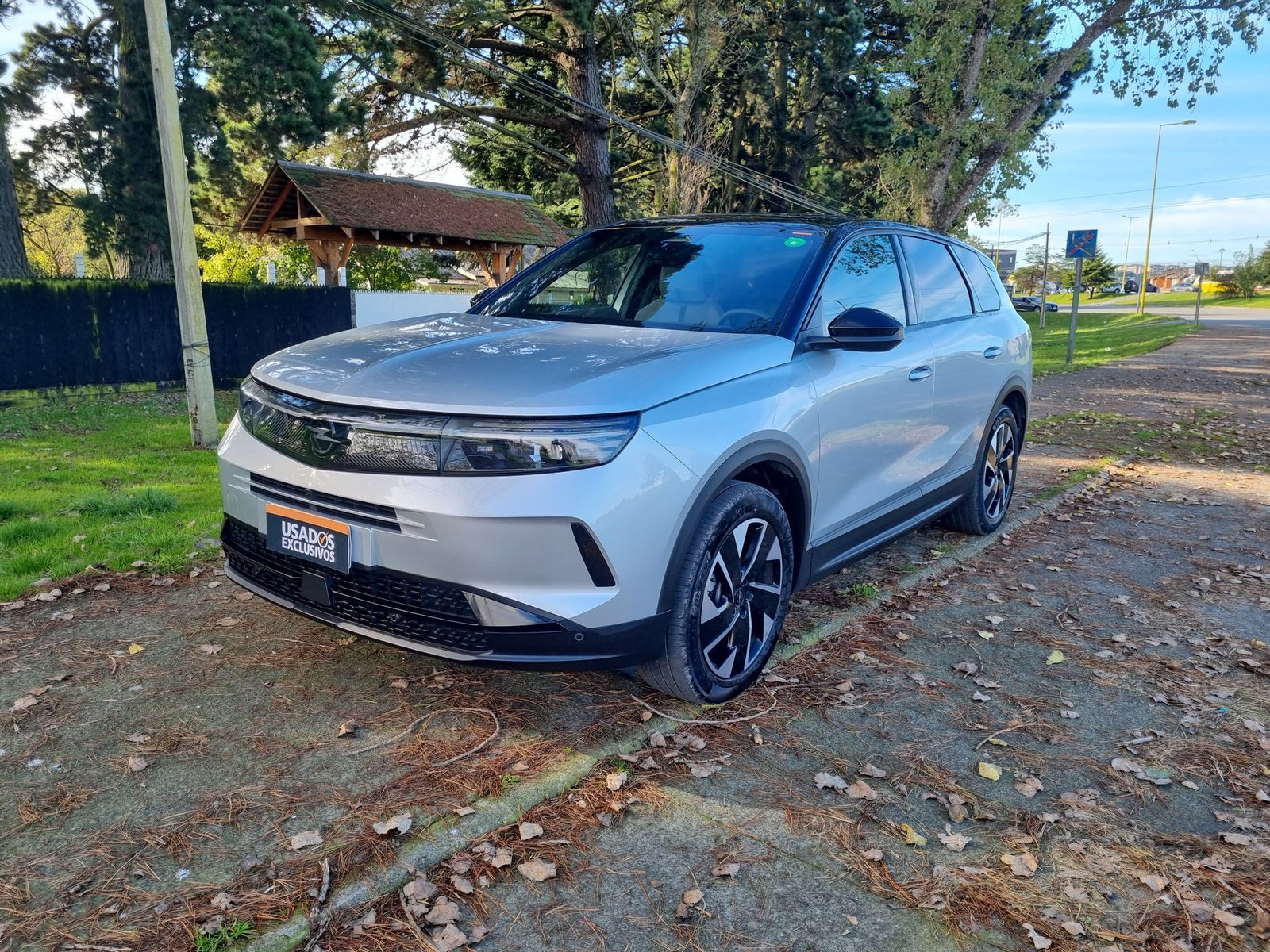Opel GRANDLAND NEW GRANDLAND GS 1.2 AUT 2025 - Imagen 10 de 20