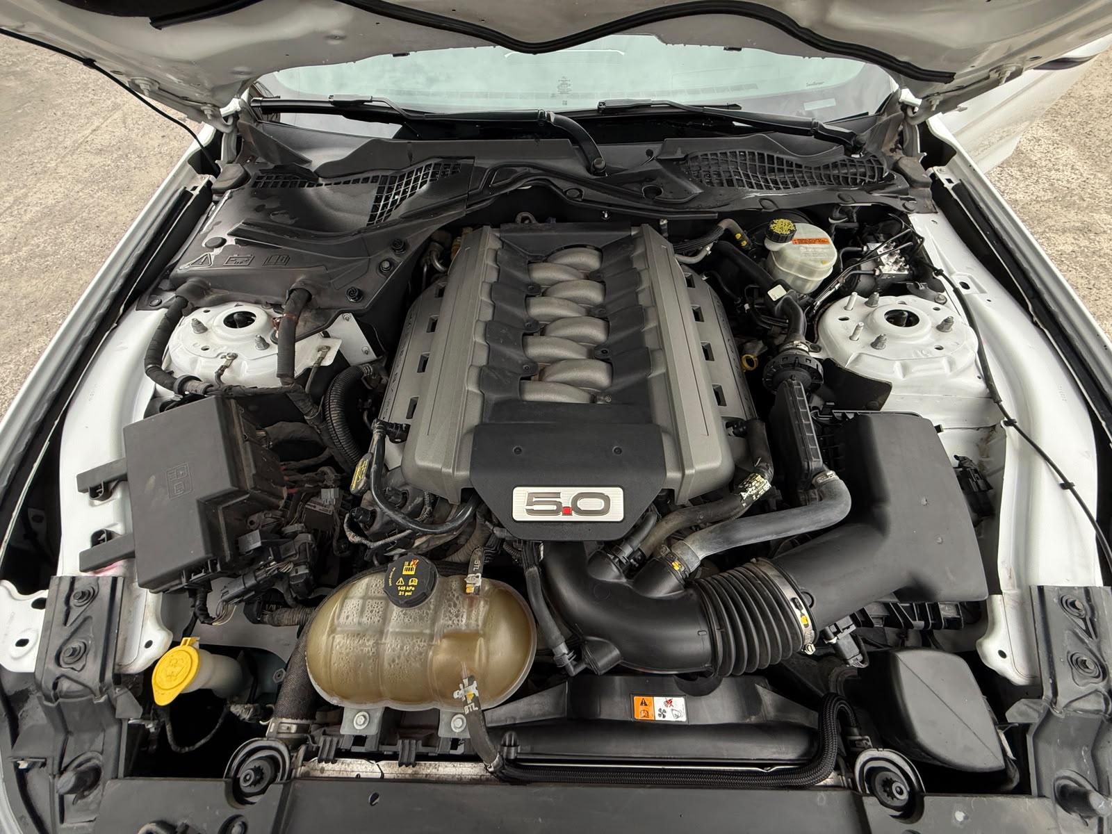 Ford Mustang 2016 - Imagen 11 de 20