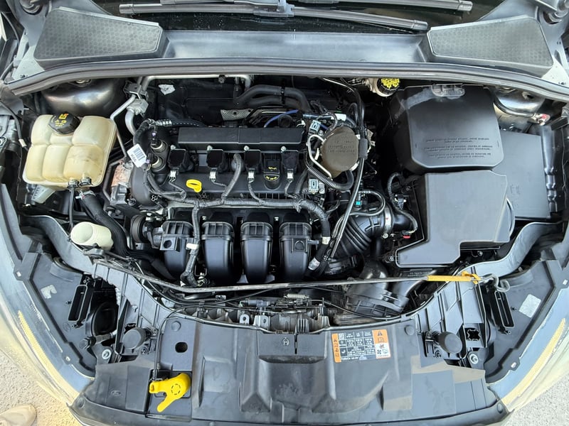 Ford Focus 2016 - Imagen 10 de 20