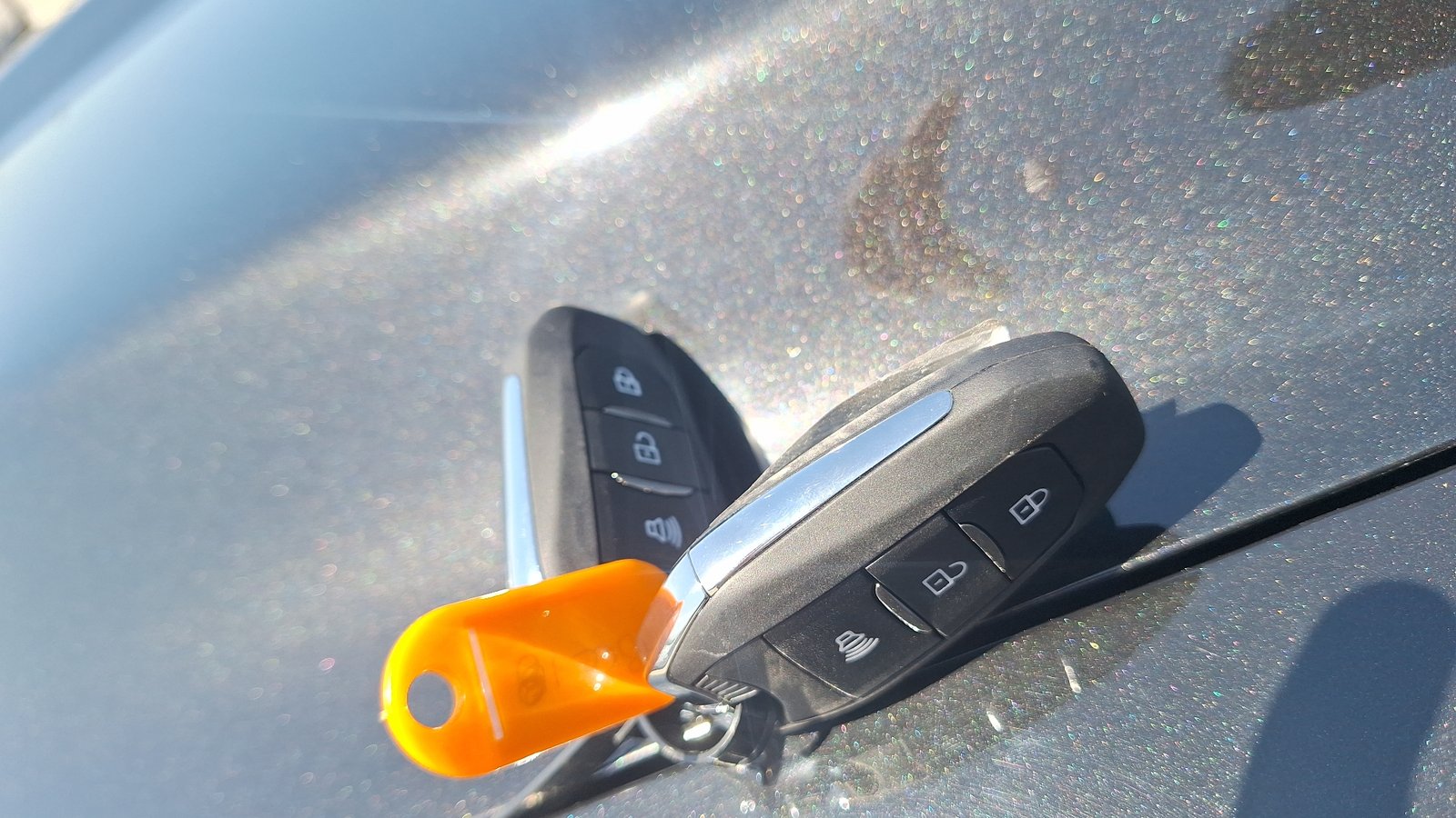 Zx Auto Grandlion 2026 - Imagen 7 de 15