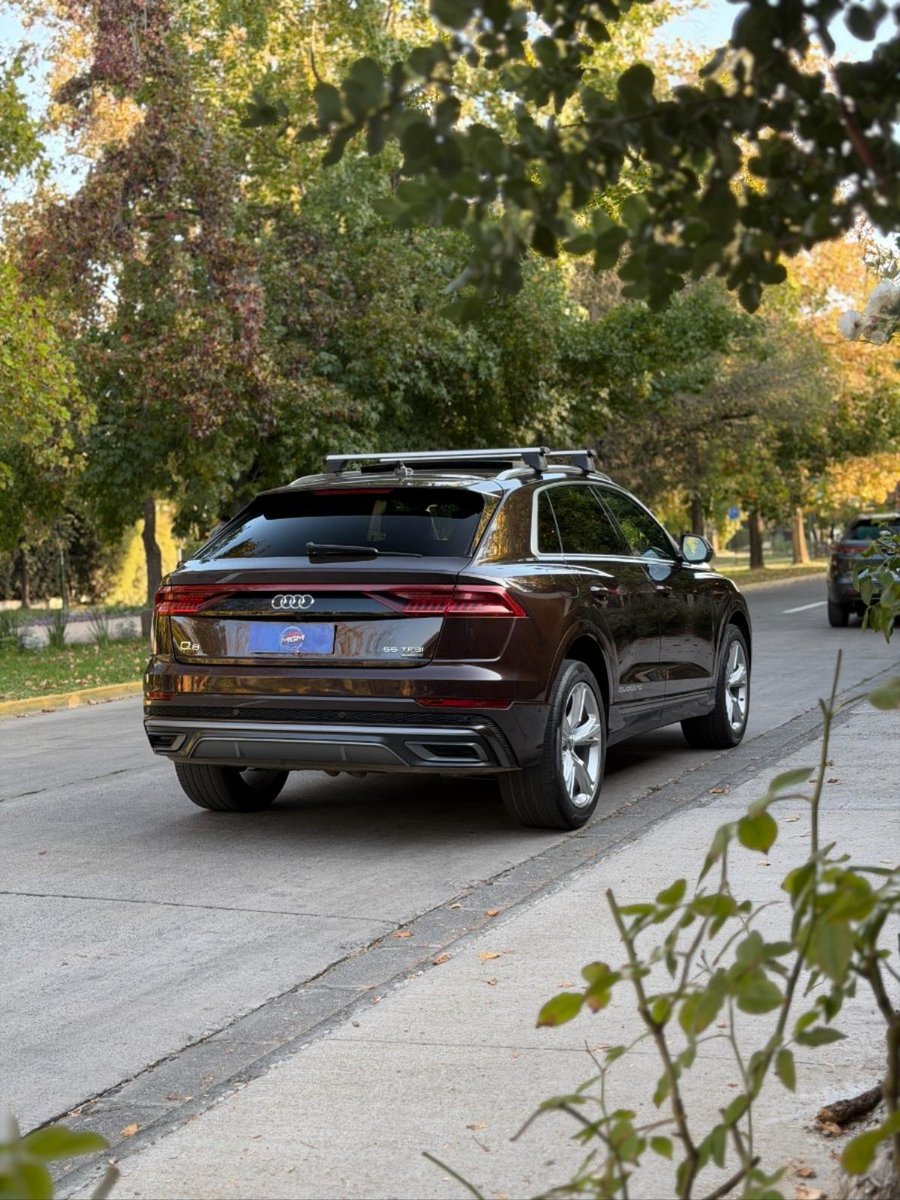AUDI Q8 3.0 55 TFSI Quattro Tiptronic S-line 2021 - Imagen 6 de 10