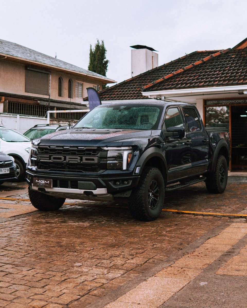 Ford F-150 RAPTOR ; ;• ; ;Paten… 2025