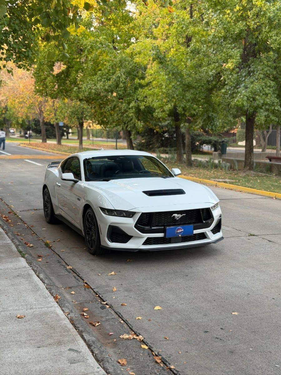FORD MUSTANG GT COUPE 2024 - Imagen 8 de 9