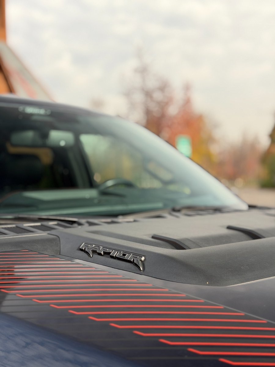 FORD F-150 Raptor 3.5 4WD 2025 - Imagen 5 de 10