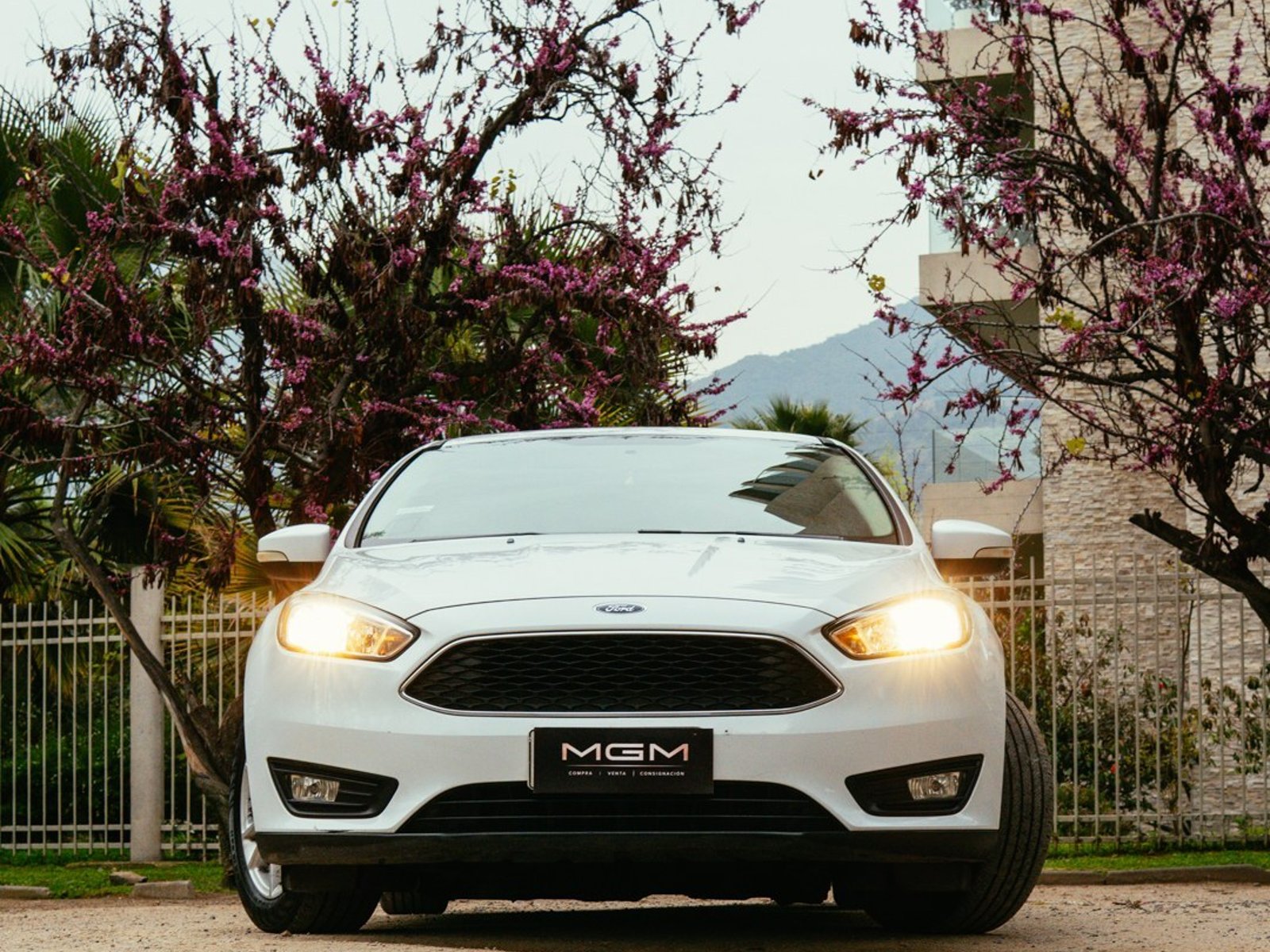 Ford FOCUS 2.0 SE 4X2 HB AT ¡Recién Llegado! ; ;• ; ; ; ;• ; ;Patente 3 ; ;• ; ;BLANCO 2018 - Foto 2 de 10