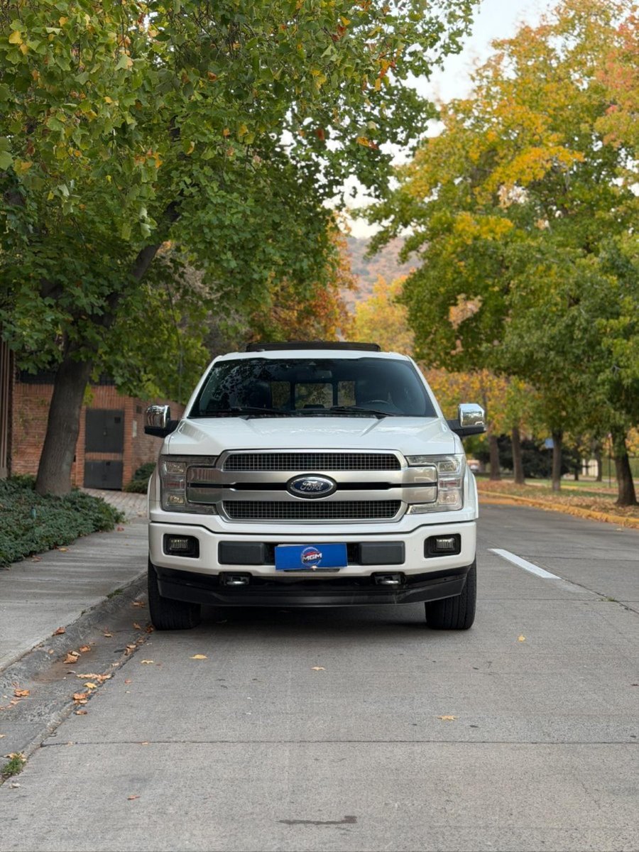 FORD F-150 PLATINUM 2020 - Imagen 3 de 9