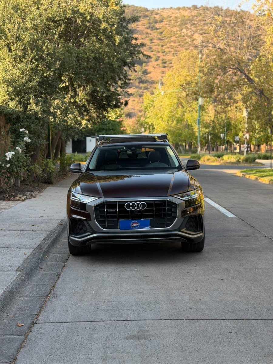 AUDI Q8 3.0 55 TFSI Quattro Tiptronic S-line 2021 - Imagen 3 de 10