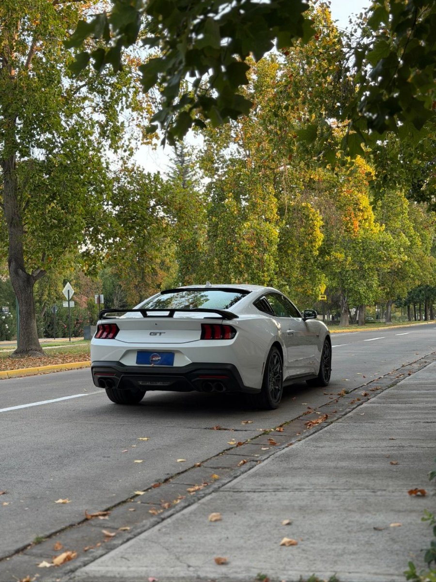 FORD MUSTANG GT COUPE 2024 - Imagen 6 de 9