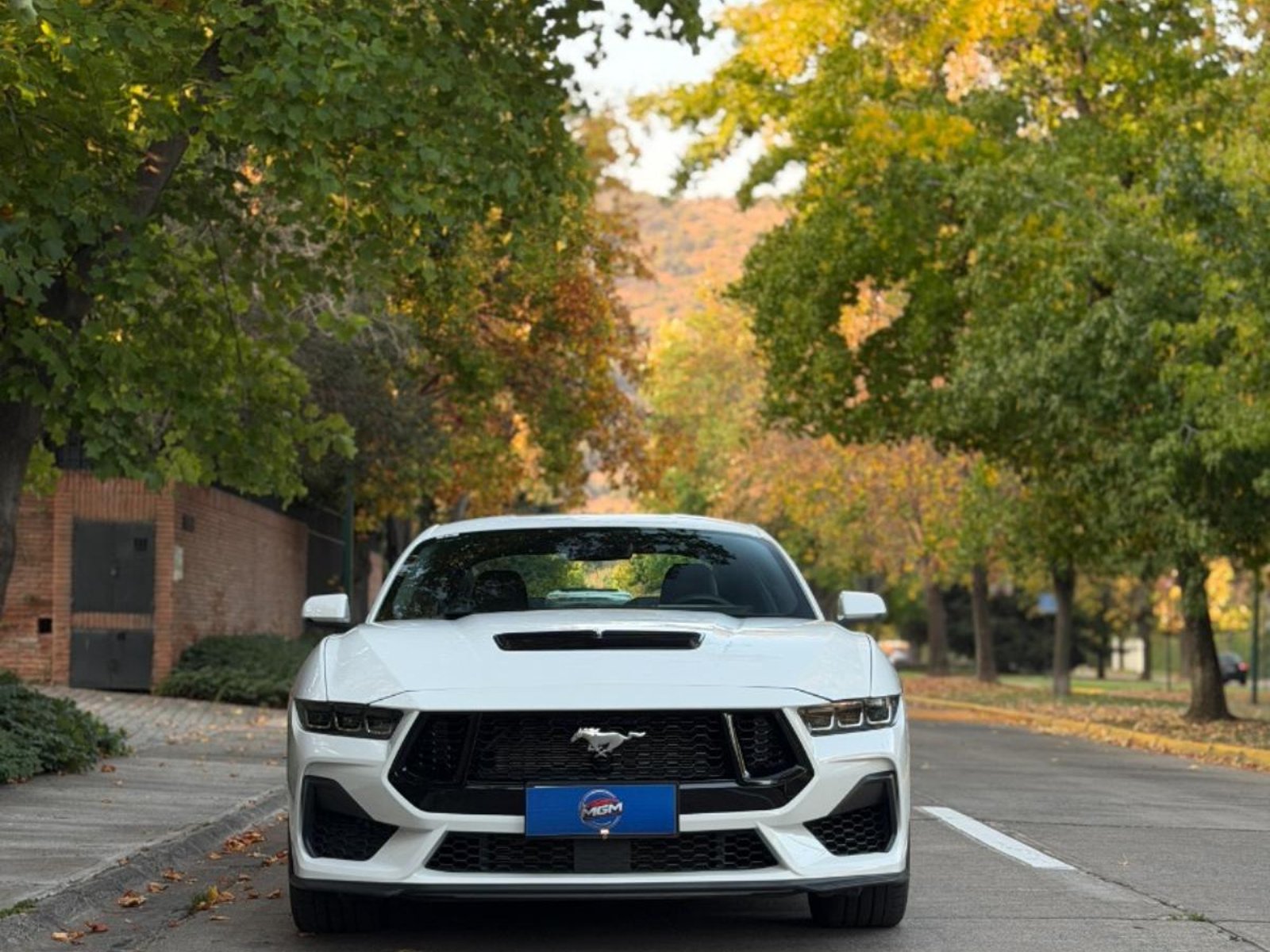Ford MUSTANG GT COUPE ; ;• ; ;Patente 3 ; ;• ; ;BLANCO 2024 - Foto 3 de 10