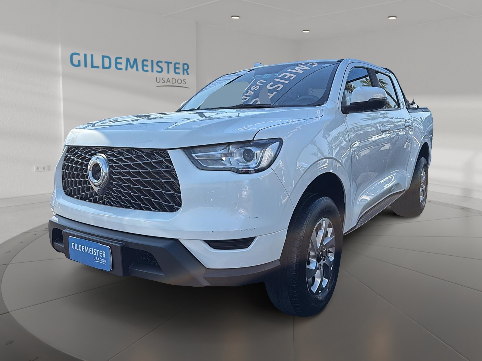 Great Wall POER 2023