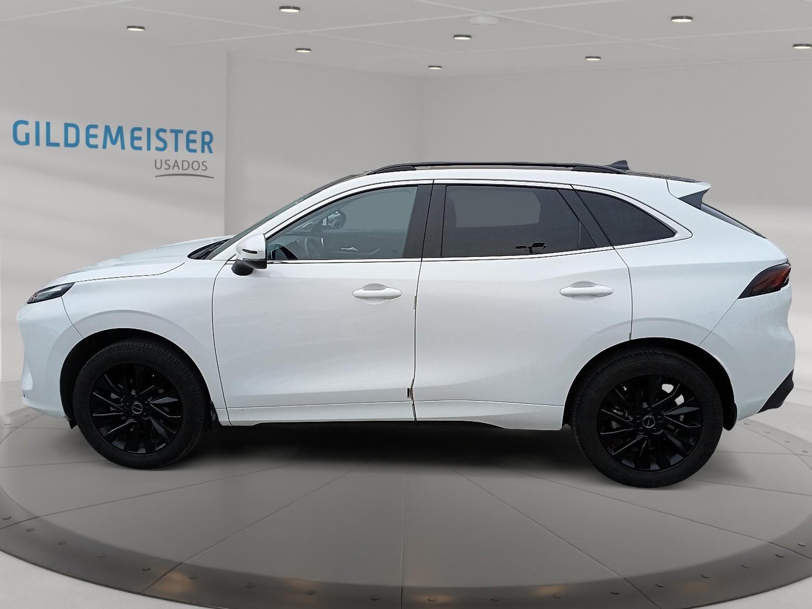 Dongfeng T5 EVO 2023 - Foto 2 de 12