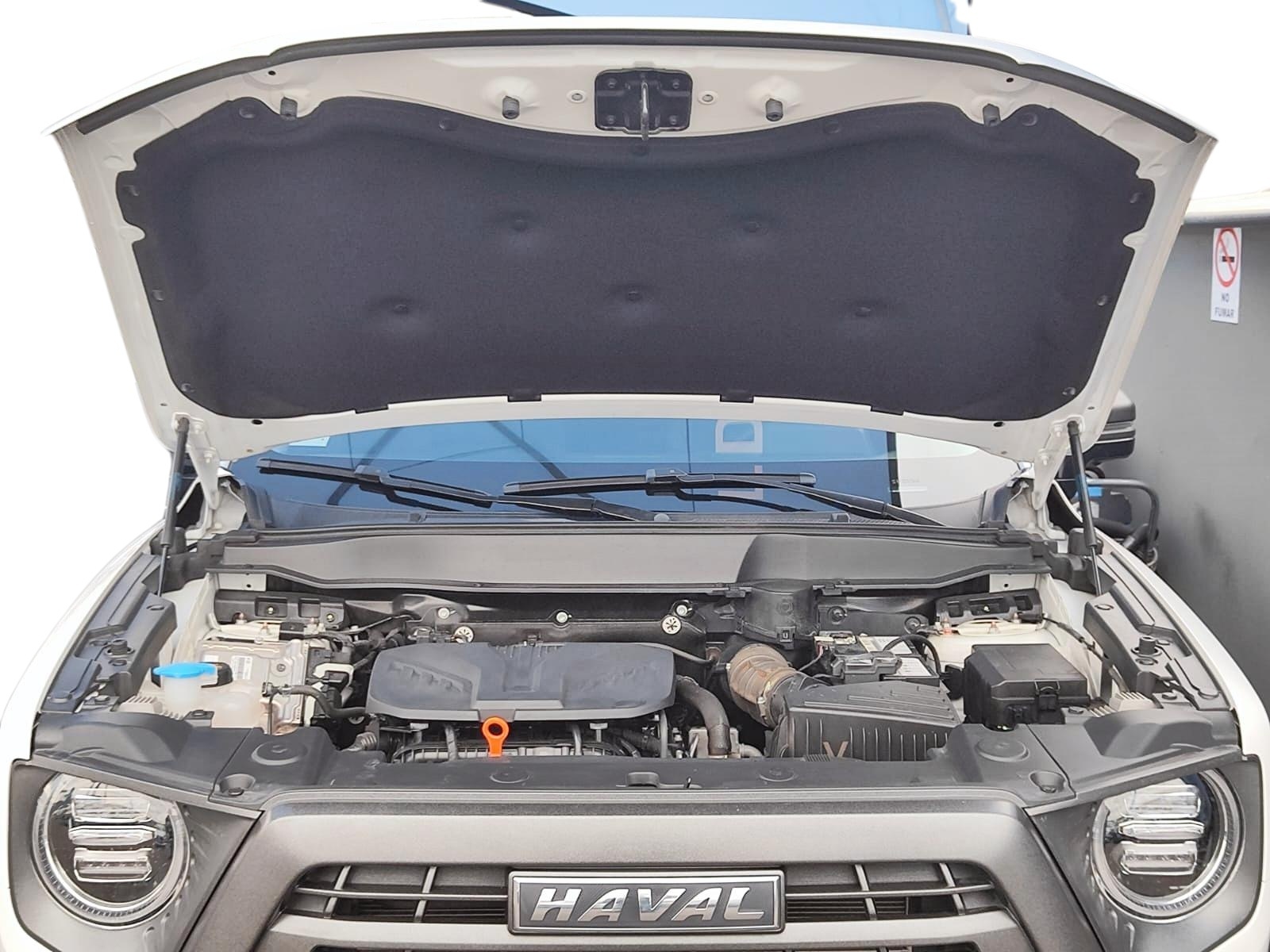HAVAL DARGO 2023 - Imagen 10 de 12