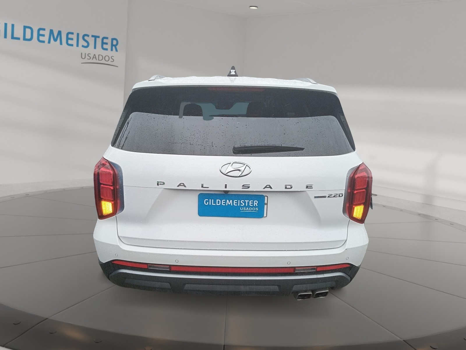 HYUNDAI PALISADE 2025 - Imagen 3 de 12