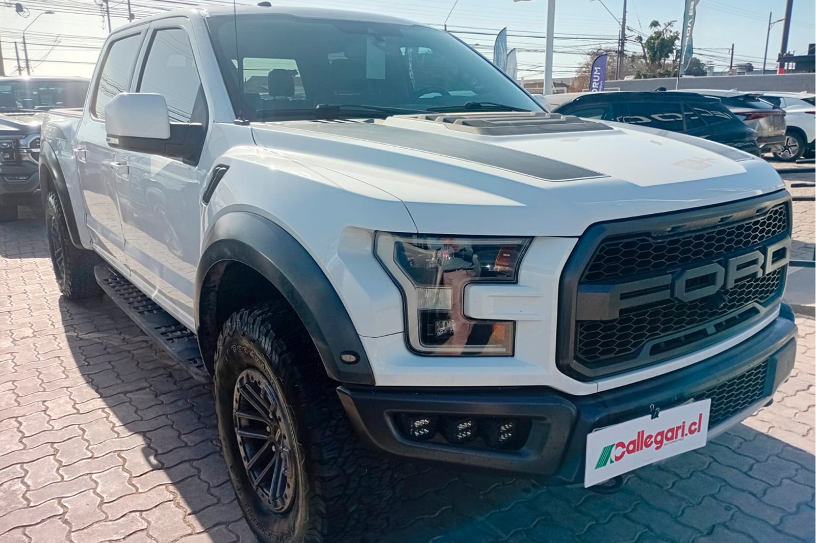FORD F150 RAPTOR 4X4 3.5 AUT 2020 - Imagen 7 de 11