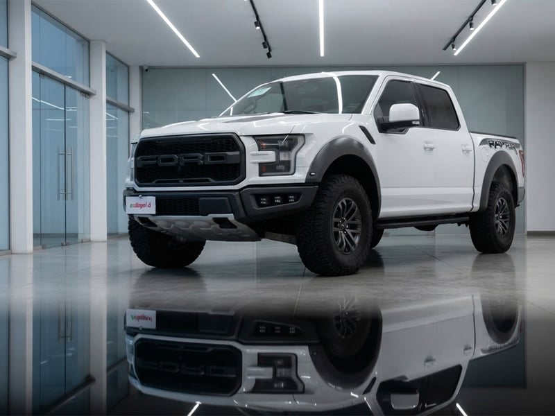 Ford F150 RAPTOR 4X4 3.5 AUT 2020 - Imagen 12 de 12