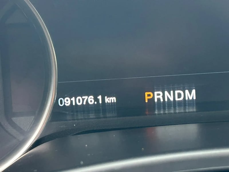 Ford F150 Raptor 2020 - Imagen 14 de 19