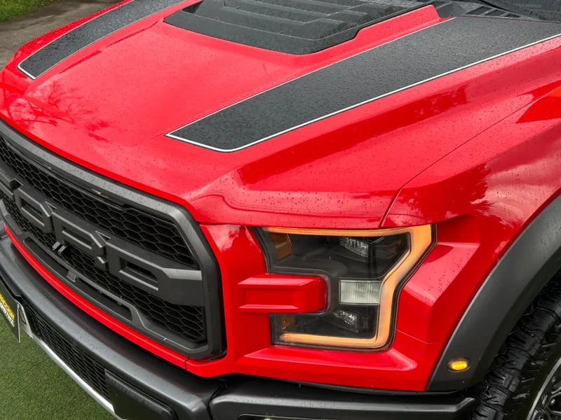 Ford F150 Raptor 2020 - Imagen 12 de 19