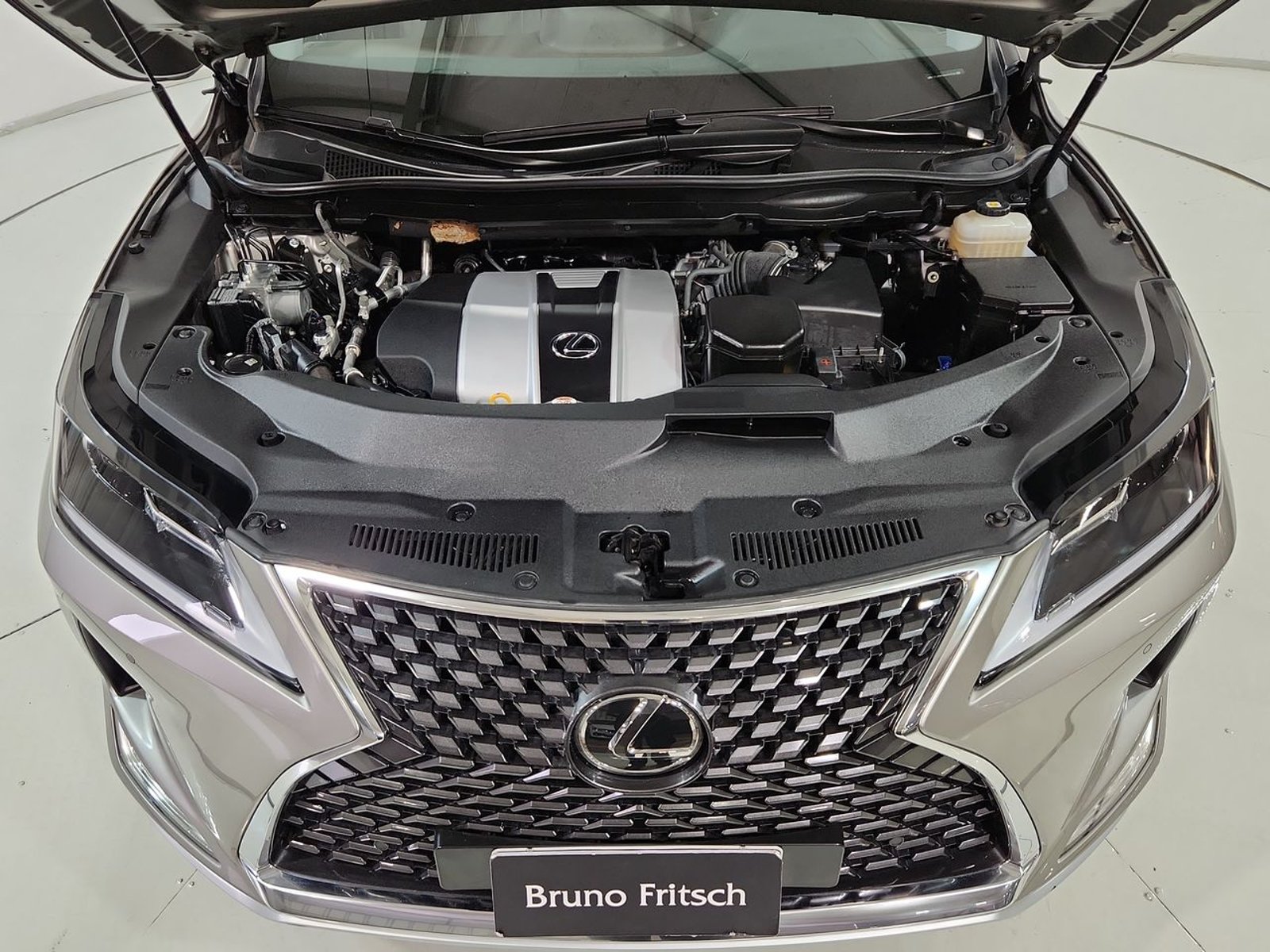 Lexus RX350 4X4 3.5 AT 2022 - Imagen 19 de 20