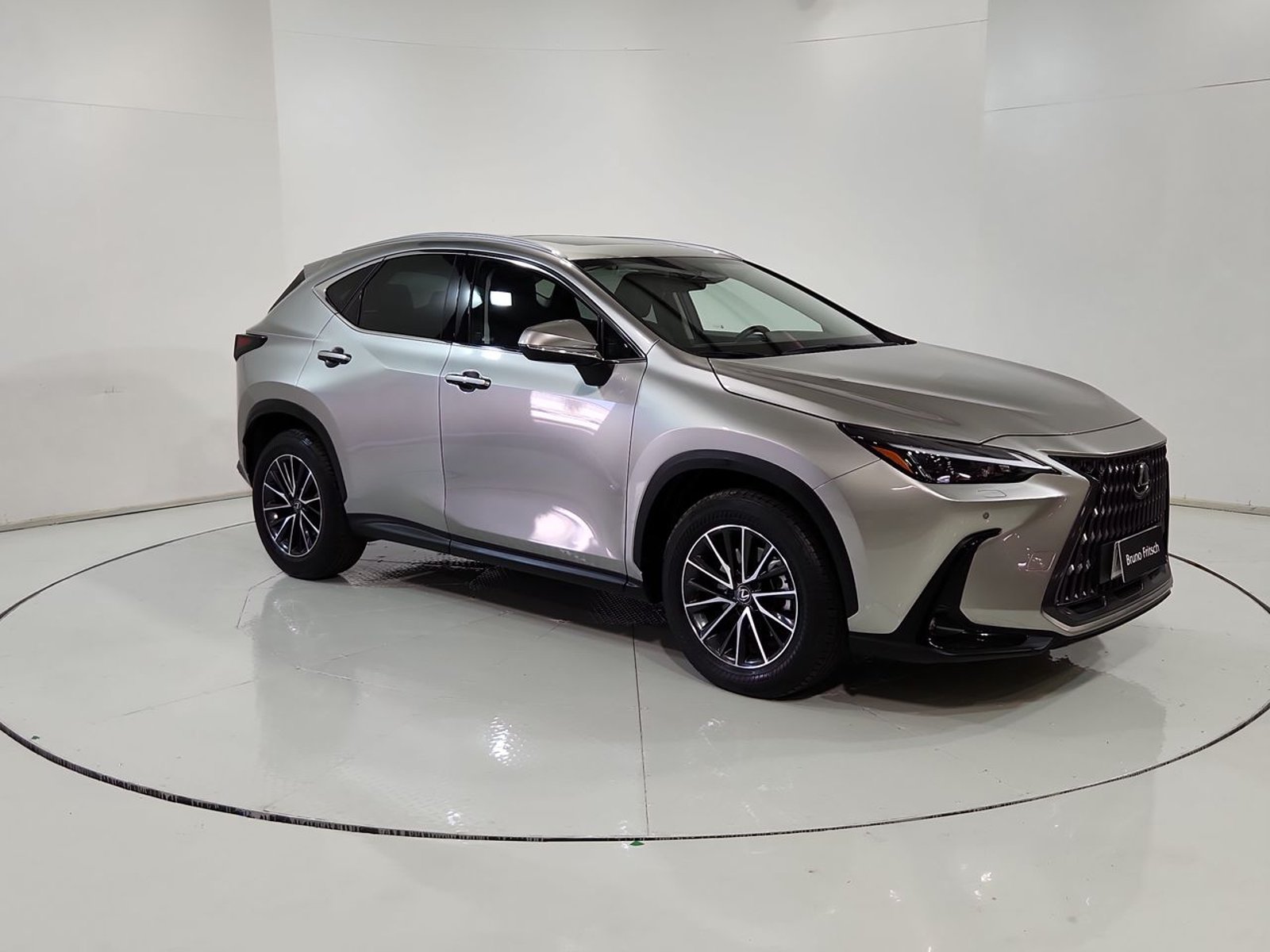 Lexus NX350H NX 350H 2.5 AUT 2024 - Imagen 15 de 20